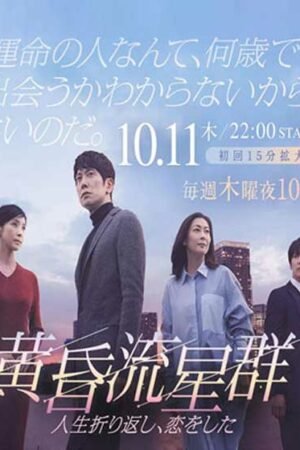 Словно падающие звезды в сумерках  смотреть с русской озвучкой