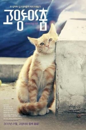 Сущность бродячих кошек