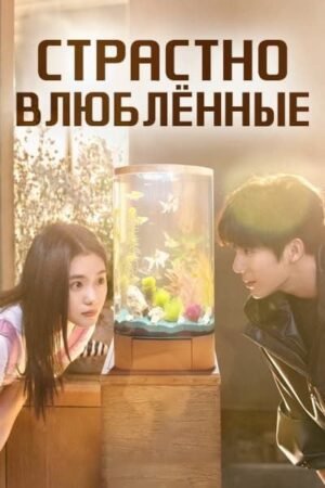 Страстно влюблённые дорама смотреть онлайн с русской озвучкой