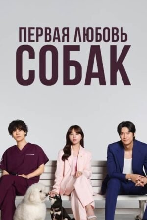 Первая любовь собак дорама смотреть онлайн с русской озвучкой